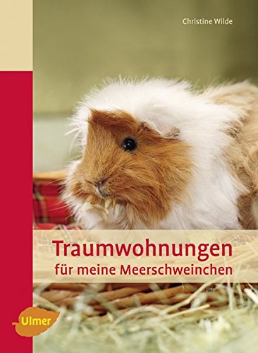 Download Traumwohnungen für meine Meerschweinchen Download Traumwohnungen für meine Meerschweinchen
