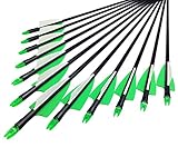 VERY100 12 Fiberglaspfeile Pfeile Fiberglaspfeil...