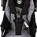 Froggy Stroller DINGO Buggy Pushchair Sportbuggy Manhattan