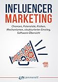 Image de Influencer Marketing: Chancen, Potenziale, Risiken, Mechanismen, strukturierter Einstieg, Software-