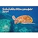 Produktbild Schildkrötenzauber · DIN A4 · Premium Kalender 2019 · Schildkröte · Amphibien · Reptilien · Regenwald · Echsen · Schildkröten · Afrika · Tiere · Wildnis · Natur · Wasser · Edition Seelenzauber