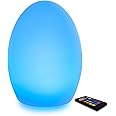 Mr.Go 8" LED Egg Lamp Mood Light, Color Changing RGB Egg Table Lamp with Remote Control, 16 Dimmable Colors, 4 Lighting Effects, Rechargeable Night Light Decorative Lighting for Home