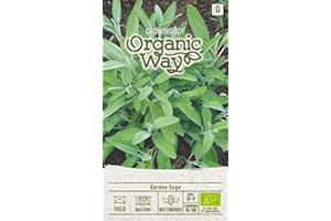 Organic Way | SEMILLAS DE SALVIA DE JARDÍN | Semillas de hierbas | Semillas de plantas | Semillas de jardín | 1 paquete