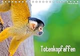 Totenkopfaffen (Tischkalender 2017 DIN A5 quer): Die faszinierenden, flinken Totenkopfaffen in den schönsten Momenten fotografisch festgehalten, (Monatskalender, 14 Seiten) (CALVENDO Tiere) by
