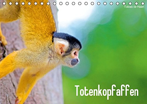 Totenkopfaffen (Tischkalender 2017 DIN A5 quer): Die faszinierenden, flinken Totenkopfaffen in den schönsten Momenten fotografisch festgehalten, (Monatskalender, 14 Seiten) (CALVENDO Tiere)