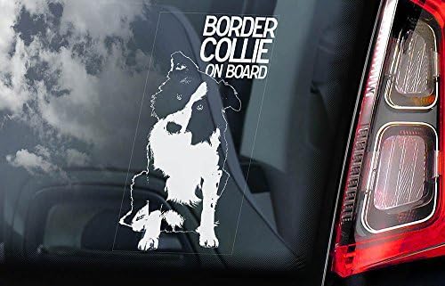 Border Collie - Car Window Sticker - Dog Sign - Internal Reverse Printed - V01