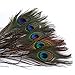 Museya 50pcs 25-30cm Beautiful Natural Peacock Tail Feathers Eyes Feathers Decorations for Craft /Art /Dress /Hats /Bridal Costume /Party