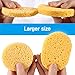 SkinCareMedi Compressed Cellulose Facial Sponges (60 Pcs) / Cleansing Sea Sponge For Face & Neck / Reusable Makeup Remover / Unbleached Pure Natural Ingredients Fiber / Smooth Exfoliation / Most Quantity 60P