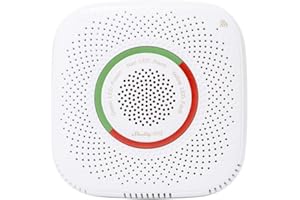 Shelly Gas LPG, Rilevatore di Perdite di GPL, Wifi, Compatibile con Alexa e Google Assistant