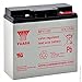 Produktbild Yuasa - Akku Blei AGM NP17-12I 12V 17Ah - Akku(s)