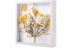 YZDZSW 3D Shadow Box (White)