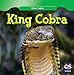 Produktbild King Cobra (Killer Snakes)
