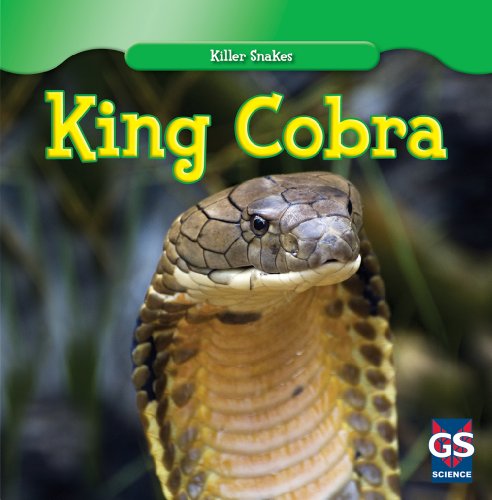 Preisvergleich Produktbild King Cobra (Killer Snakes)