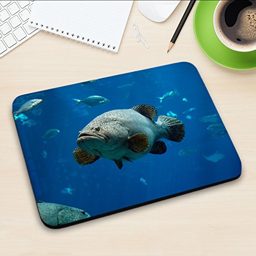 Leben im Meer 10030, Fisch, Designer Mousepad Unterlage Mauspad Maus-Pad Stark Anti Rutsch Unterseite für Optimalen Halt mit Lebhaftes Motiv Kompatibel mit Apple Magic Maus. Ideal für Gamer und für Grafikdesigner - 3