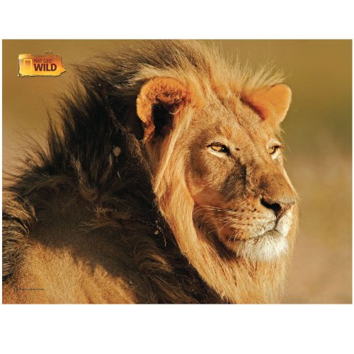 Preisvergleich Produktbild Uncle Milton National Geographic Wild Animal Jigsaw Puzzle 100 Pieces U16469