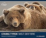 STARKE TYPEN 2020: WELT DER TIERE - lustige Tier-Motive - Bildkalender 60 x 50 cm Kalender Posterkalender - Wandkalender by 