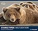 STARKE TYPEN 2020: WELT DER TIERE - lustige Tier-Motive - Bildkalender 60 x 50 cm Kalender Posterkalender - Wandkalender by 