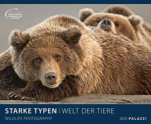 STARKE TYPEN 2020: WELT DER TIERE - lustige Tier-Motive - Bildkalender 60 x 50 cm Kalender Posterkalender - Wandkalender