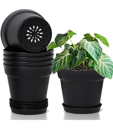20 PZ VASO a cupola umidità per piante vasi da interno vivaio campana