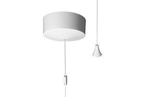 Evoges 6AX 2-Way Ceiling Pull Cord Switch | Raised Rounded Plastic | No Indicator | Screw Terminals | Bathroom Light, Utility Room, Wet Room, Bedrooms, Living Rooms (White)