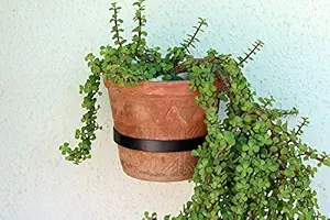 Metal Roots Wall Mounted Flower Pot Ring Round Planter Hanger Stand, Black