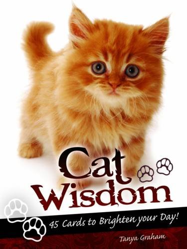 Cat Wisdom