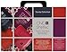 CND Shellac Power Polish - Trendy Trial Pack - Intro Kit