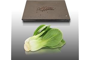 LE GRENIER D'ABONDANCE LES GRAINES QUI DONNENT ENVIE 100 graines à semer - Le Grenier d'Abondance - CHOU CHINOIS Pack Choi - Brassica rapa