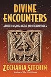 Image de Divine Encounters: A Guide to Visions, Angels, and Other Emissaries (English Edition)