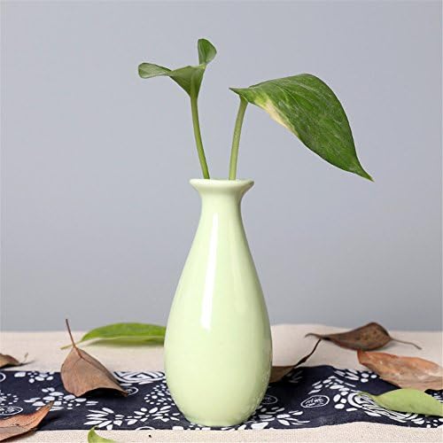 Simonshop House Tabletop Modern Small Ceramic Flower Vase Plant Container Art Crafts (Green)