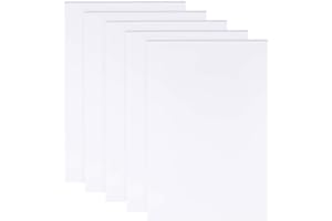 BENECREAT 5 Fogli 3mm Pannelli in Schiuma Bianca 30x20cm Rettangolo in Schiuma di PVC Foglio Poster Boardmount Board per Artigianato,modellismo, Arte, Progetti Scolastici