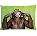 Produktbild Lovely Monkey ape Zippered Pillow Cases Cover 20x30 Inch