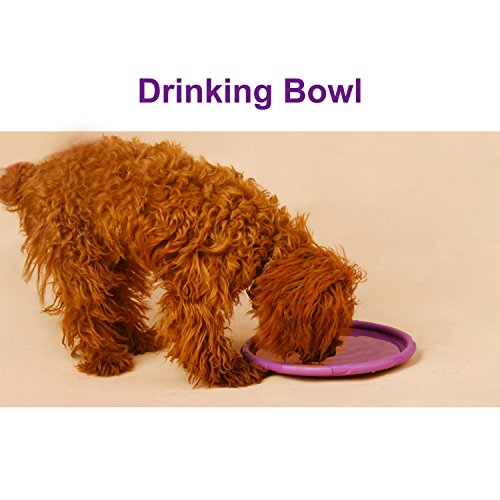 MixMart-Nontoxic-Rubber-Flying-Disc-Frisbee-for-Dogs87in-with-Vanilla-Scent