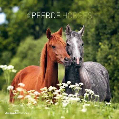 Pferde 2014 Broschürenkalender