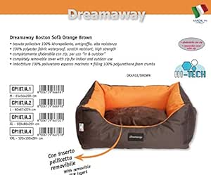 labrador with short legs