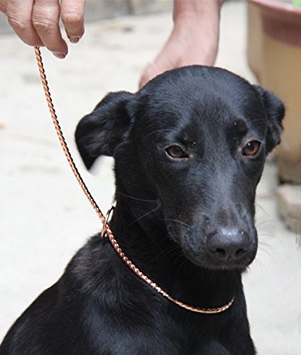 Moonpet-Rose-Gold-P-Choke-Snake-Chain-Collar-Command-Obedience-Dog-Training-Slip-Collar