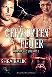 Image de Gefährten im Feuer (Paranormal Wars: Stone Haven 3)