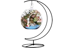 Fosinz Espositore ornamentale in ferro da appendere ganci per appendere globo di vetro aria pianta terrario palla ornamento natalizio decorazione domestica matrimonio