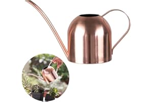 HGGZEG Arrosoir en acier inoxydable - Petit arrosoir à long goulot pour la maison, l'intérieur et l'extérieur, le jardin, les plantes succulentes - 500 ml (or rose)