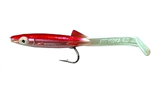 ART PESCA HARD EEL RAGLOU ESCA SILICONICA VARI COLORI E MISURE 5 PEZZI