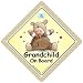Grandchild on Board Car Sign, Grandchild on Board, Baby On Board, Unisex Baby on Board, Brown Bear Car Sign, Baby Sign, Car Sign, Baby On Board, Baby Car Sign, Bumper Sticker, Grandchildren Car Sign