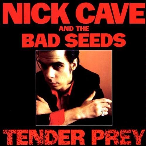 Tender Prey [Vinilo]