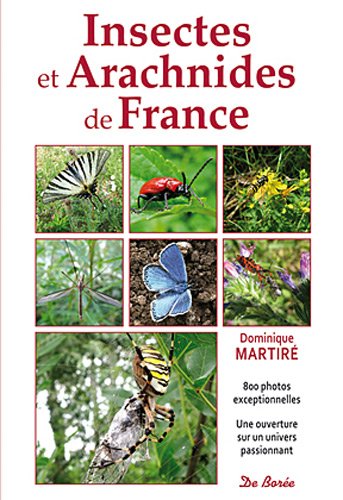 Télécharger Insectes et Arachnides de France Francais PDF