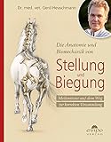 Image de Die Anatomie und Biomechanik von Stellung und Biegung: Meilensteine auf dem Weg zur korrekten Versam