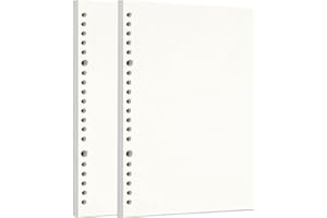 Zelten Loose Leaf Punched Paper Refills Paper for Personal Organizer Diary Notebook Refillable Planner (Sketch, A5/20 Hole)