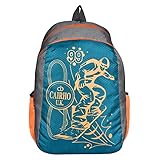 Cairho Polyester Mini School / College / Tuition Bag 15 Liters 2 Compartments RS.275 (69.00% Off) - Amazon