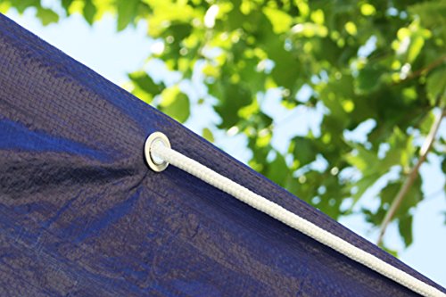 FERPRO Plane mit Ösen Wasserdicht MT. 4 x 6 - 5