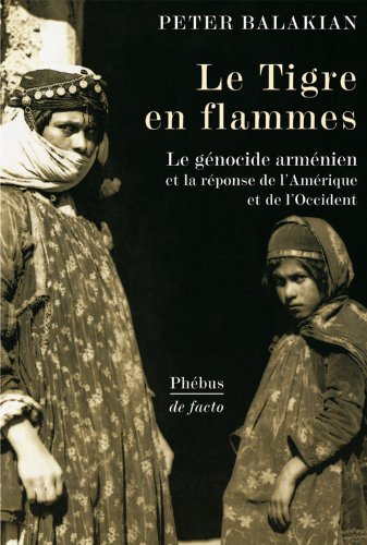 couverture de : Le tigre en flammes