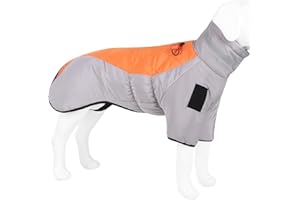 BEBEIBON Hunderegenmantel – Wasserdichter Hundemantel (grau+orange, XL)