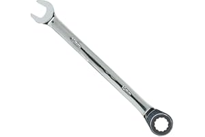 Seshin Buffalo 10mm Ratchet Spanner Steel Fixed Head Gear Wrench Open End & Ring (10mm)